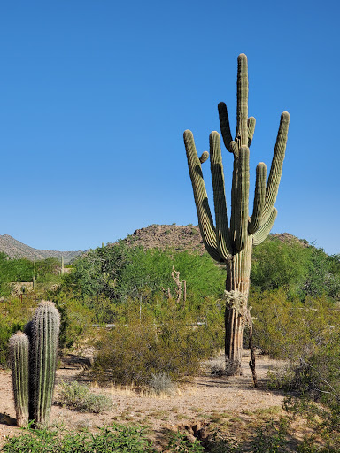 Desert Arroyo Park