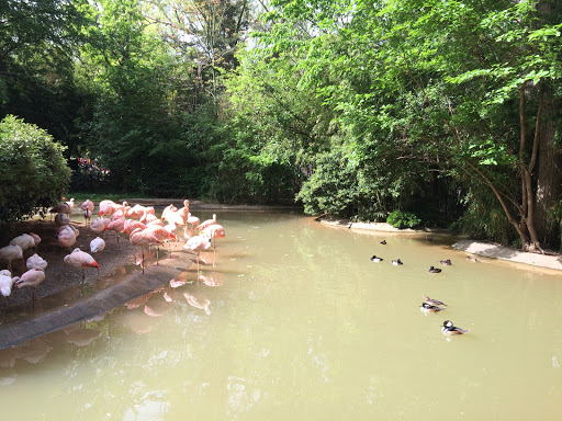 Zoo «Fort Worth Zoo», reviews and photos, 1989 Colonial Pkwy, Fort Worth, TX 76110, USA