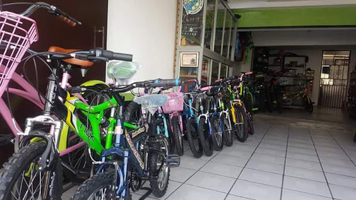 Taller de bicicletas Reparacion de Bicicletas El Rapido