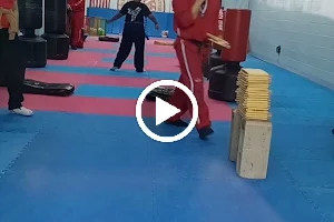 USA Martial Arts Center image