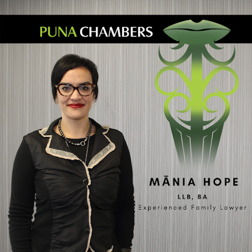 Puna Chambers - Attorney