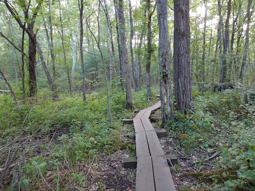 Park «Mary Cummings Park», reviews and photos, 25 Blanchard Rd, Burlington, MA 01803, USA