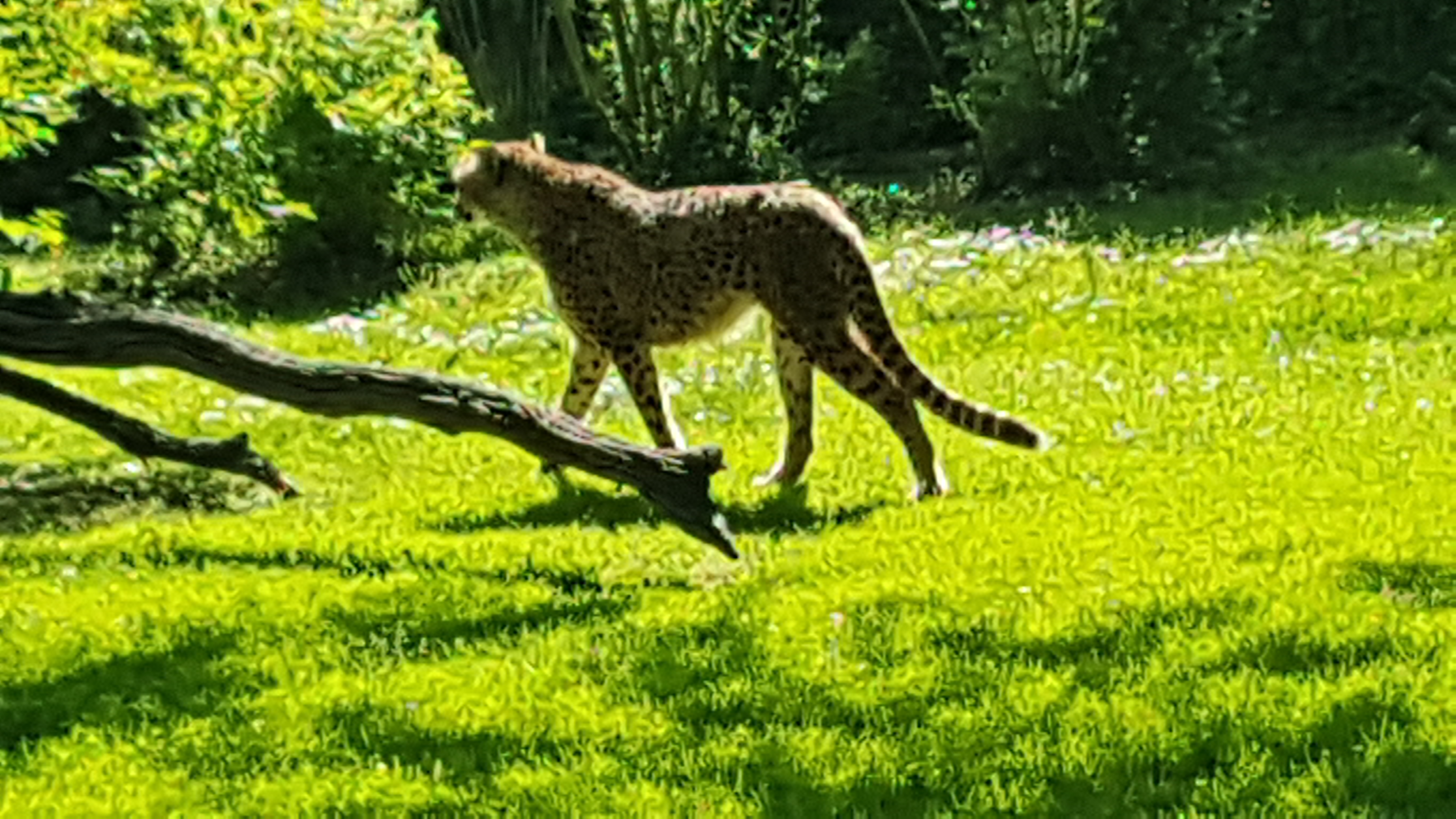 Photo n° 13 de l'avis de Dominique.A fait le 21/05/2019 à 20:35