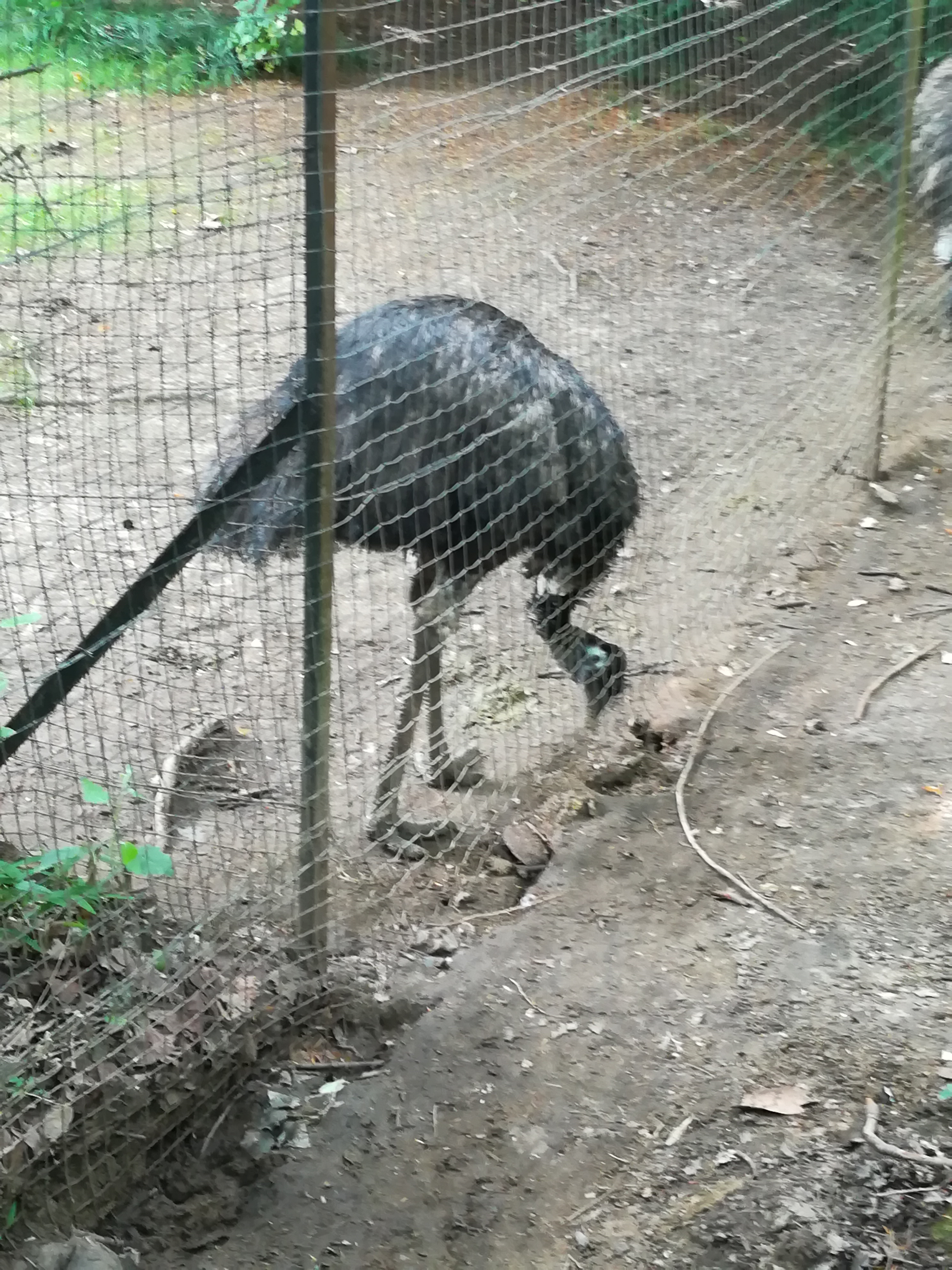 Photo n° 12 de l'avis de Christophe.A fait le 26/07/2020 à 19:03