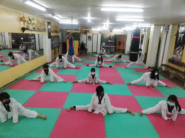 Escuela de Taekwondo y Artes Marciales "Taebaek Ecuador"(Quito)