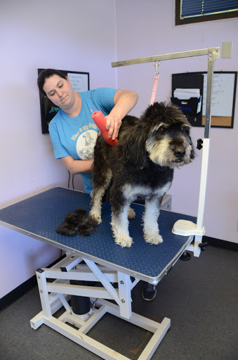 Dog Trainer «Mad 4 My Dog», reviews and photos, 702 E Temperance St, Ellettsville, IN 47429, USA