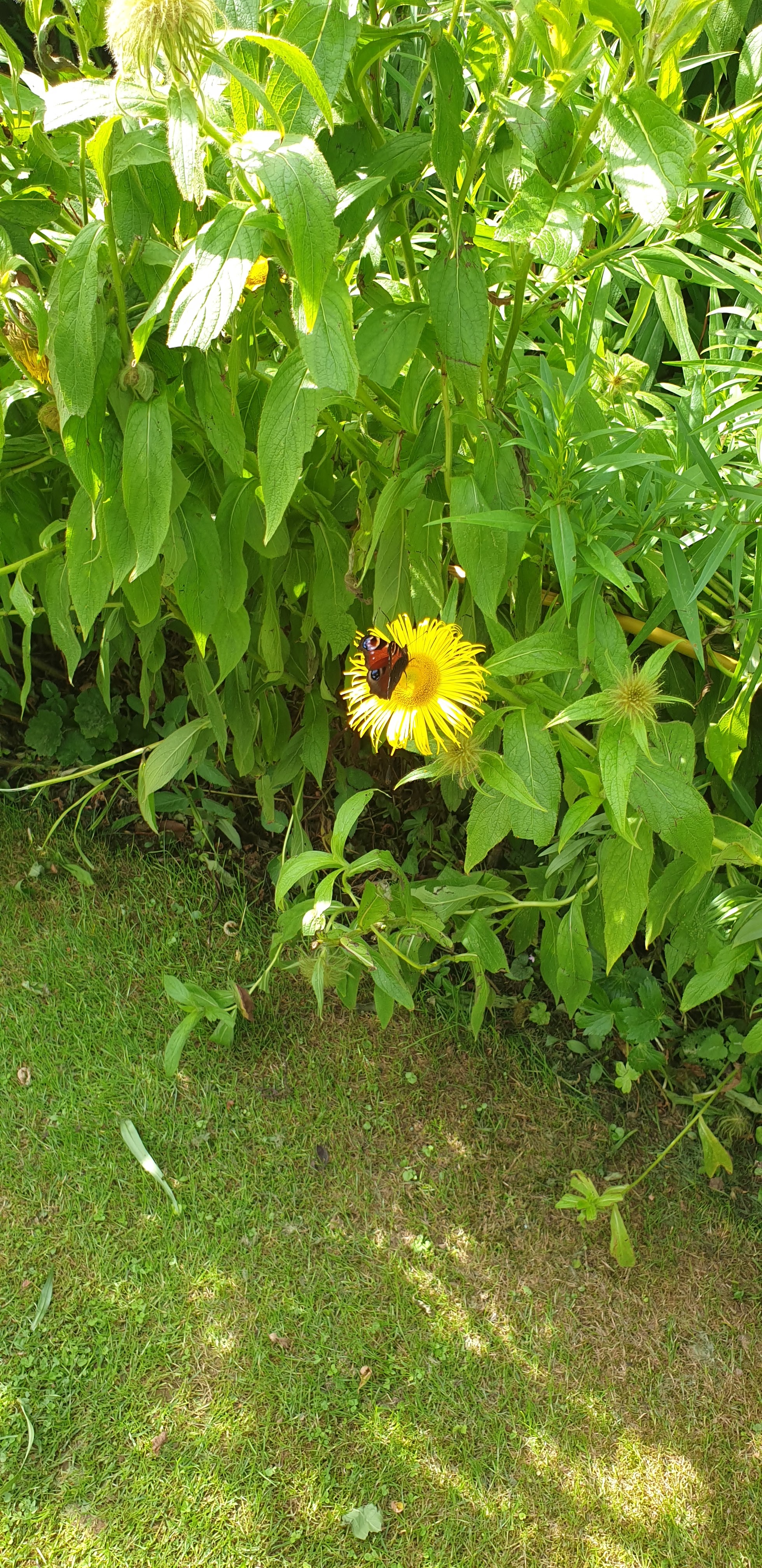 Photo n° 5 de l'avis de Vic.e fait le 30/07/2021 à 09:26