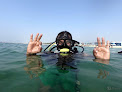Best Diving Beginners Courses Dubai Near You