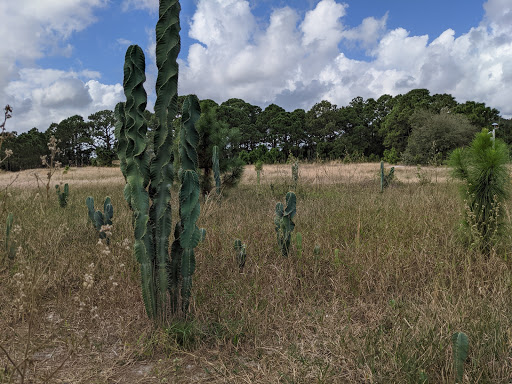 Park «Miramar Pineland Park», reviews and photos, 3600 S University Dr, Miramar, FL 33025, USA