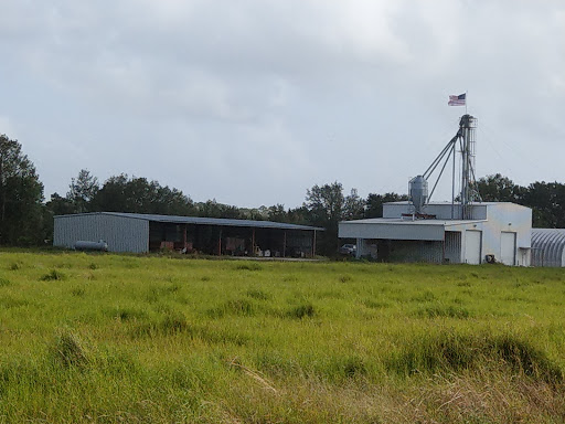 Tourist Attraction «Partin Ranch Corn Maze», reviews and photos, 5601 N Canoe Creek Rd, Kenansville, FL 34739, USA