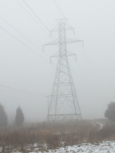 Nature Preserve «Al Sabo Land Preserve», reviews and photos, 6310 Texas Dr, Kalamazoo, MI 49009, USA