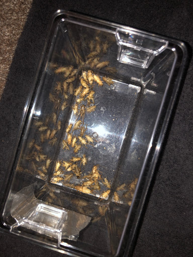 Pet Store «Pets Plus Inc», reviews and photos, 2610 Jefferson Davis Hwy, Stafford, VA 22554, USA