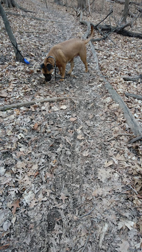 Nature Preserve «Swallow Cliff Woods South», reviews and photos, Illinois Rt 83 & US Rt 45, Palos Park, IL 60464, USA