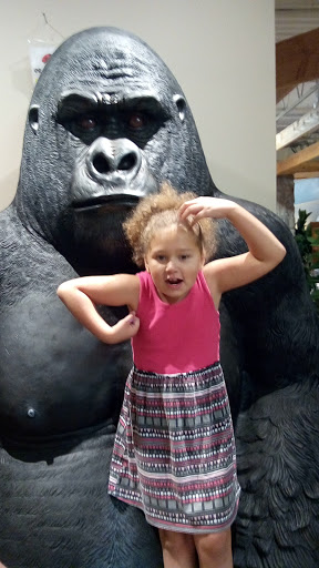 Furniture Store «Ashley HomeStore», reviews and photos, 251 Mundy St, Wilkes-Barre, PA 18702, USA