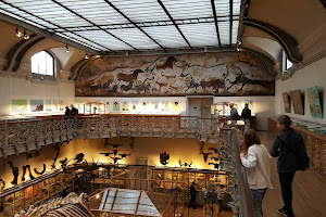 Galerie de Paléontologie et d’Anatomie comparée