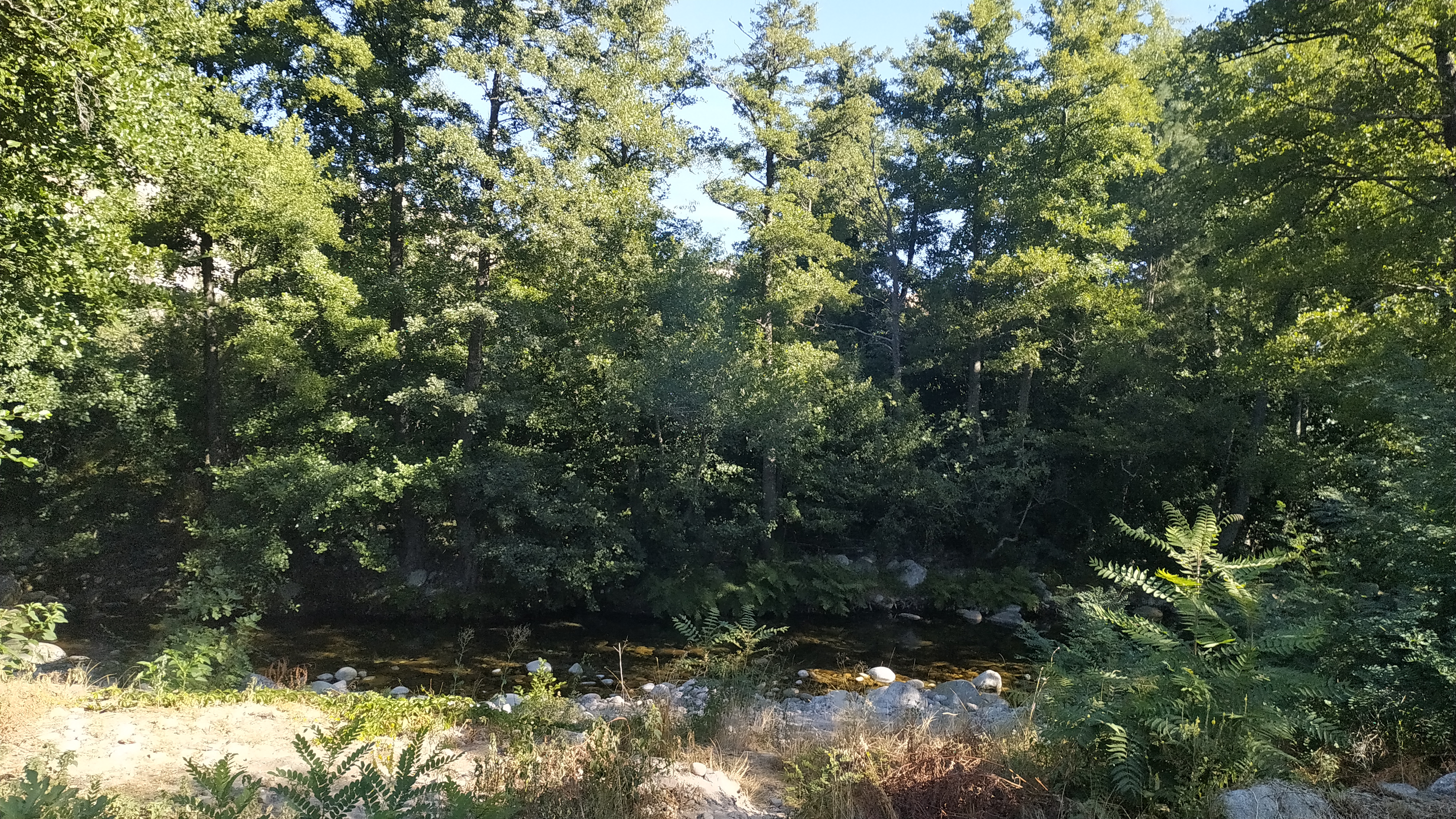 Photo n° 4 de l'avis de Michela.a fait le 19/08/2020 à 07:36