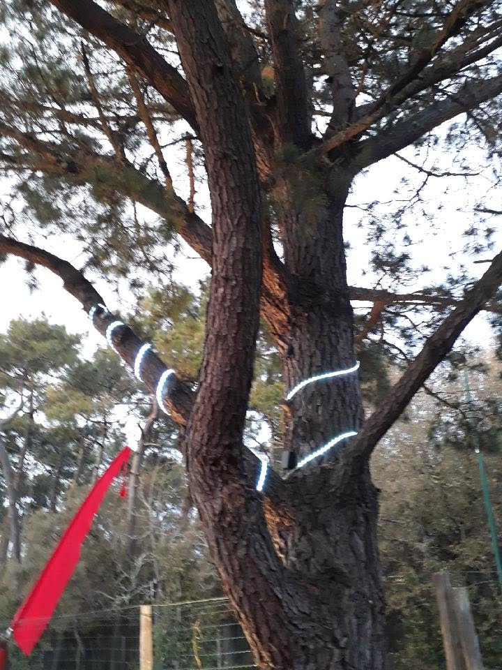 Photo n° 44 de l'avis de Nicole.a fait le 12/04/2018 à 21:45