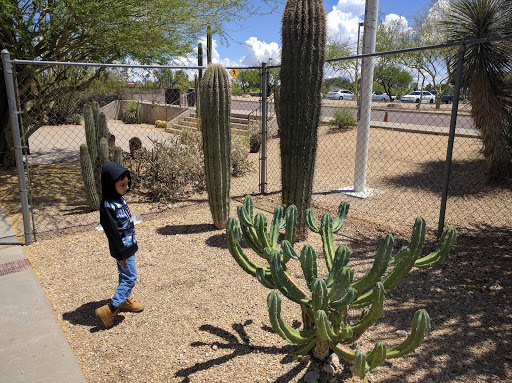 History Museum «Hall of Flame Fire Museum», reviews and photos, 6101 E Van Buren St, Phoenix, AZ 85008, USA