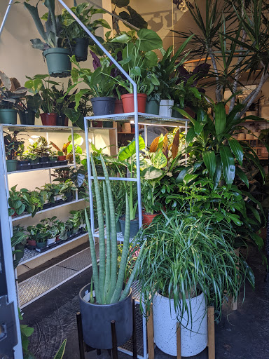 Plants and Friends