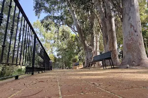 Municipal De Abarán Park image