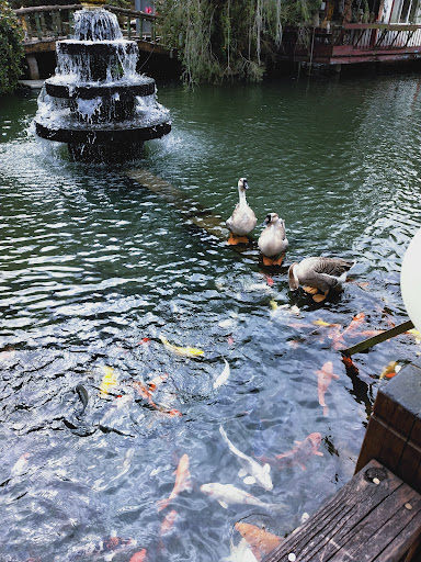 逸園鄉間小憩 的照片