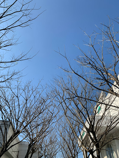 Top 10 cửa hàng đồ gỗ Huyện Đảo Cồn cỏ Quảng Trị 2022