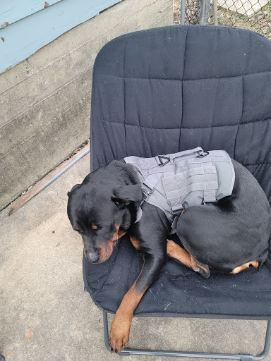 Pet Supply Store «Petco Animal Supplies», reviews and photos, 1660 Orchard Gateway Blvd, North Aurora, IL 60542, USA