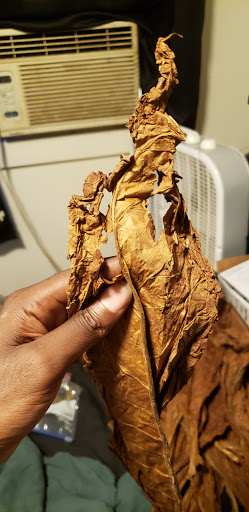 Tobacco Shop «Leaf Only», reviews and photos, 440 Middlefield St, Middletown, CT 06457, USA