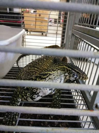 Pet Store «Animal Lovers Pet Shop», reviews and photos, 24028 Vista Montana, Torrance, CA 90505, USA