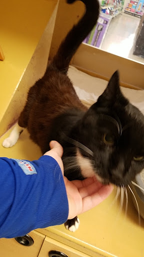 Pet Supply Store «PetSmart», reviews and photos, 128 Bailey Farm Rd, Monroe, NY 10950, USA