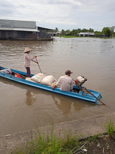 Top 20 cửa hàng gỗ Huyện Vị Thủy Hậu Giang 2022