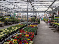 The Home Depot - Photo 7 - Car repair in Las Vegas, NV, Las Vegas