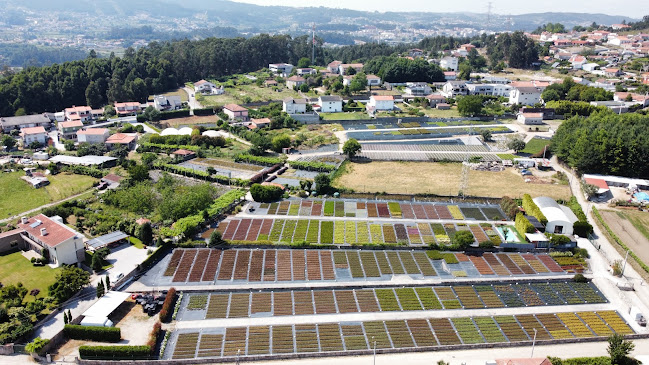 Imagem verde unipessoal lda - Floricultura