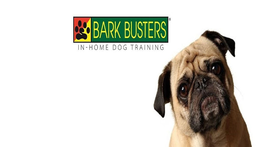 Bark Busters In Home Dog Training - Toronto West