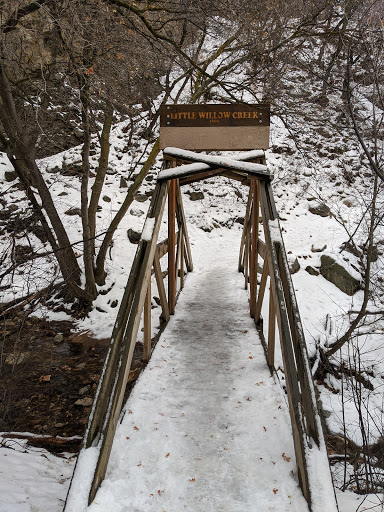 Little Willow Canyon