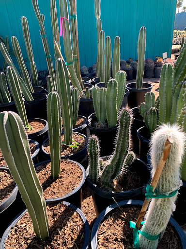 Gas Station «Circle K», reviews and photos, 12707 W Grand Ave, Surprise, AZ 85374, USA