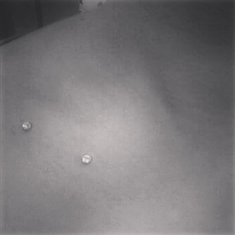 Find simple tree tattoo ideas for your next unique tattoo in Albuquerque at Staceys Exotic Body Piercing and Tattoo