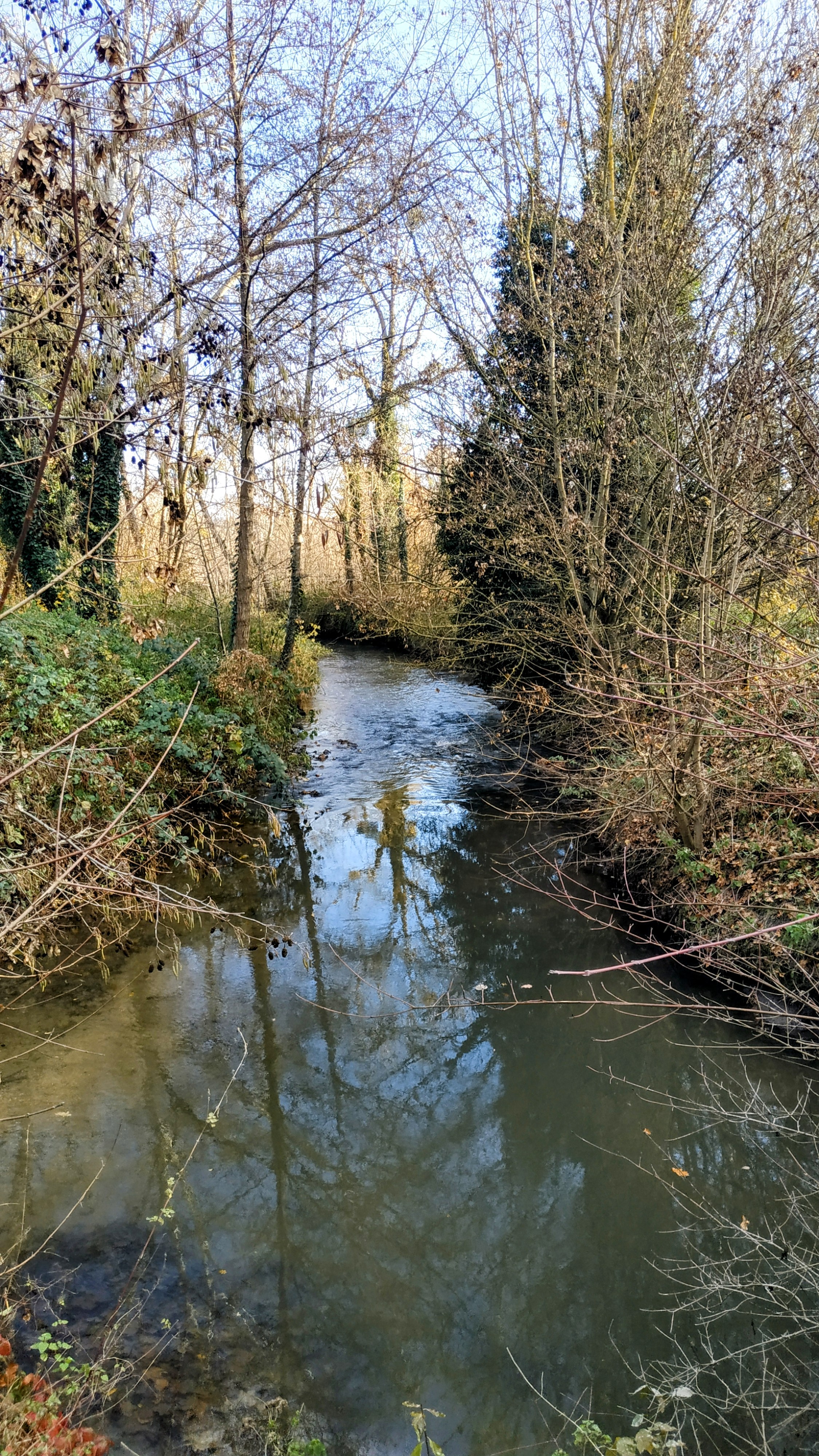 Photo n° 8 de l'avis de The.a fait le 13/12/2022 à 17:11
