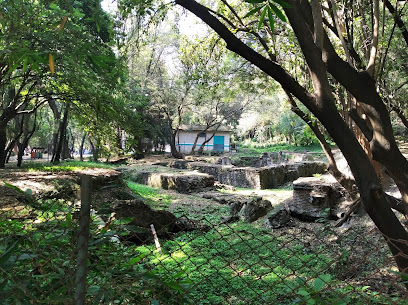 Bosque de Chapultepec