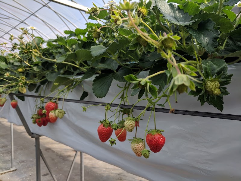 ファームスクエア 丹沢の森 神奈川県秦野市堀西 グルコミ