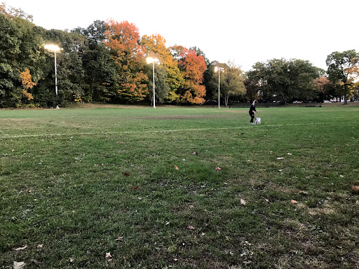 Softball field Cambridge