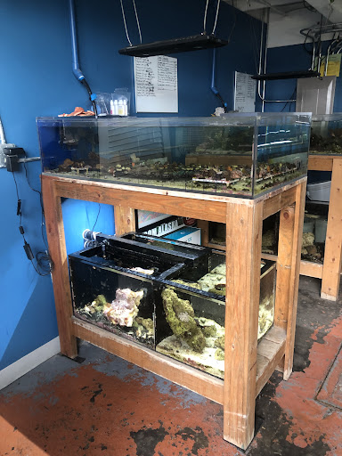 Pet Store «The Pet Works», reviews and photos, 407 4th Ave E, Olympia, WA 98501, USA