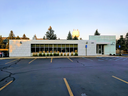 Credit Union «Lake Michigan Credit Union», reviews and photos