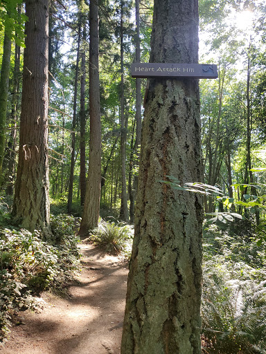 State Park «Dash Point State Park», reviews and photos, 5700 SW Dash Point Rd, Federal Way, WA 98023, USA