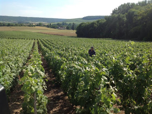 Parenthése Champenoise à Trélou-sur-Marne