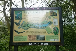 Park Lime Pits Local Nature Reserve image