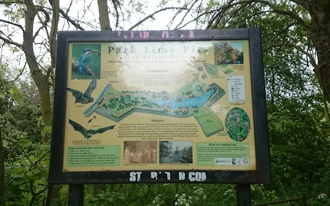 Park Lime Pits Local Nature Reserve image