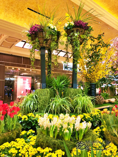 Florist «Atlantic City Flower Shop», reviews and photos, 2329 Atlantic Ave, Atlantic City, NJ 08401, USA