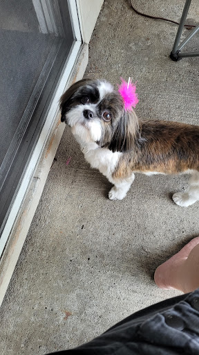 Pet Supply Store «PetSmart», reviews and photos, 430 NW Eastman Pkwy, Gresham, OR 97030, USA