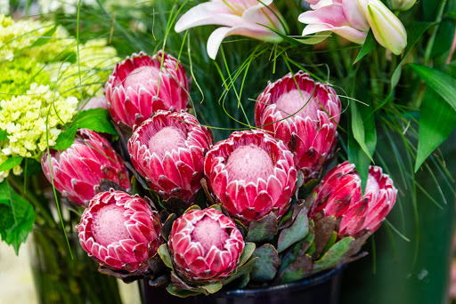 Florist «Doris The Florist», reviews and photos, 233 Long Beach Rd, Island Park, NY 11558, USA